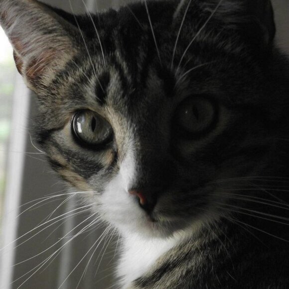 Meet your Posher, Michael - Picture 1 of 1